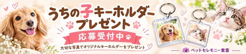 うちの子キーホルダープレゼント