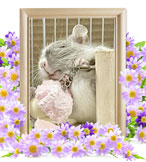 ペット火葬(小動物の火葬)