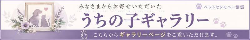 うちの子（犬・猫・小動物）ギャラリー