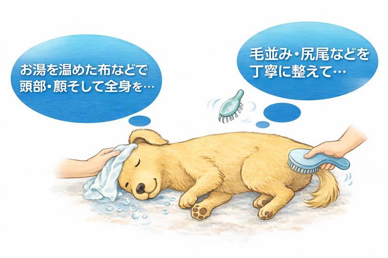 ペット火葬の遺体