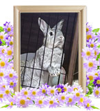 ペットの火葬(りっか)