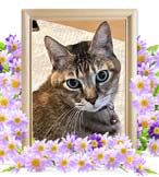 ジジちゃんの追悼写真