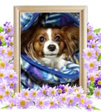 レモンちゃんの追悼写真（犬の火葬）